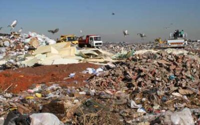 CSIR survey to improve recycling in Joburg